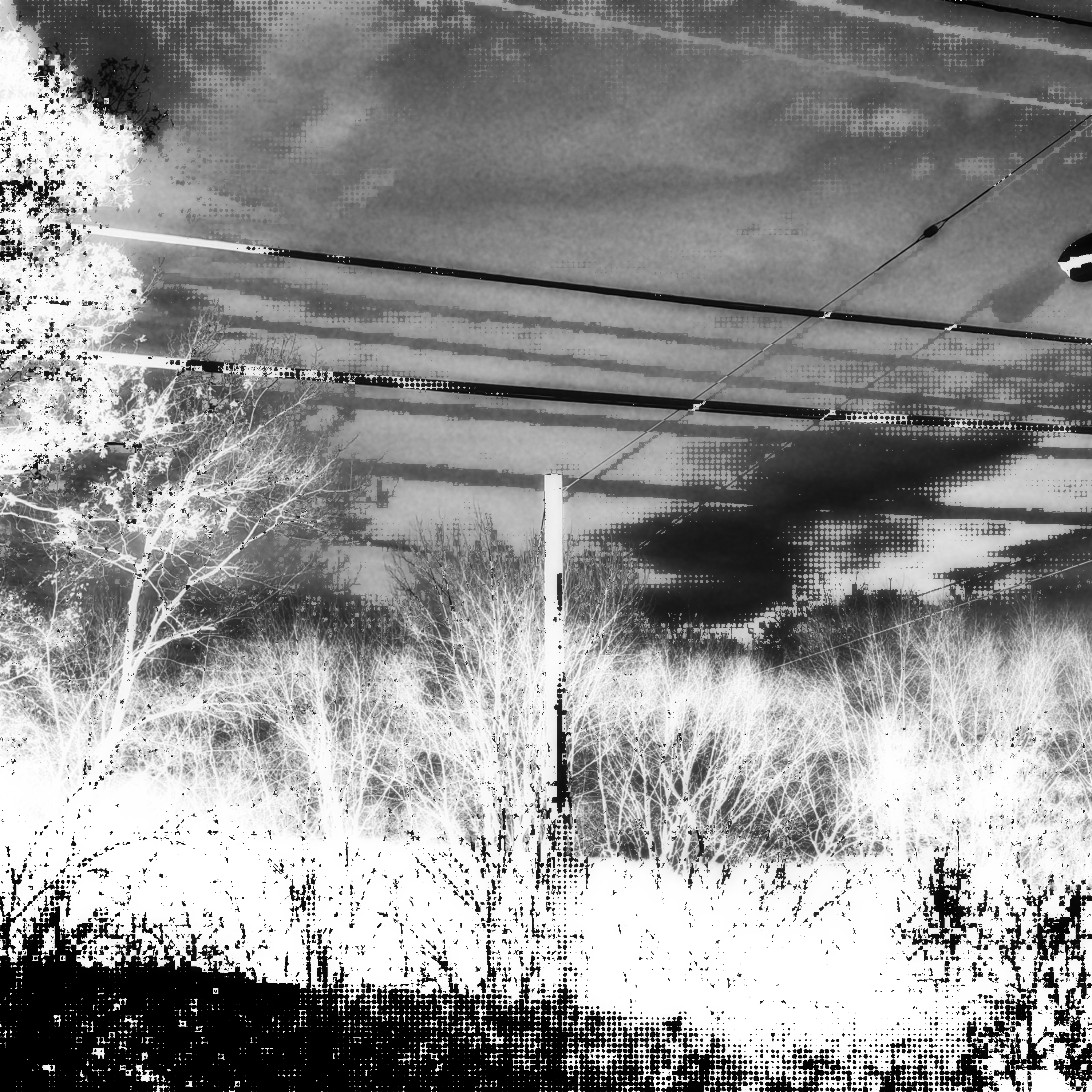 771971--2B818199-9B24-415D-B18C827DC829061F--1552149628674--20181104162945