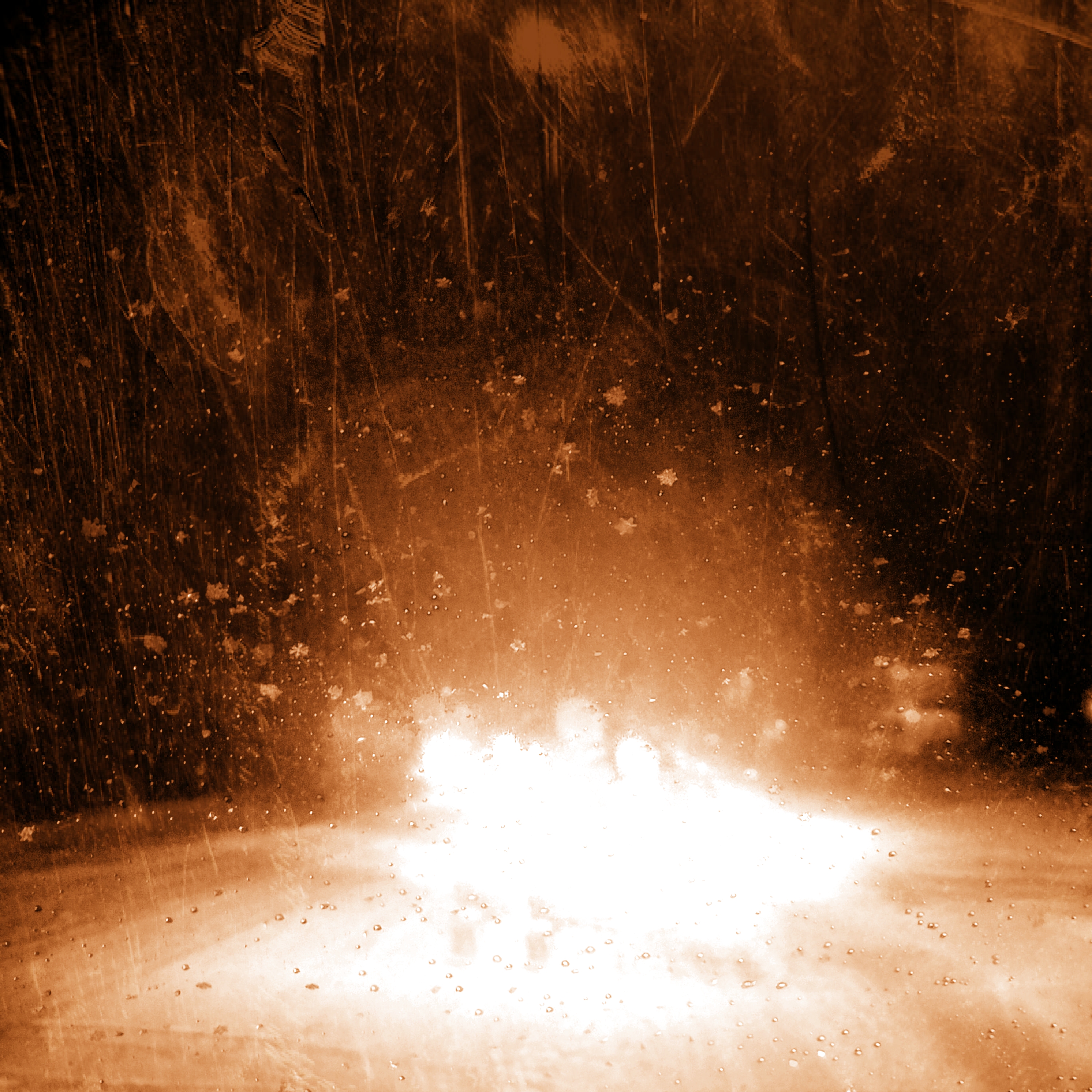 771971--B96FE430-323E-43B7-B0EDA9EB87A15411--1553673193804--20190311031930